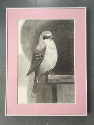 素描(配白色铝合金框60x90cm)